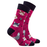 Men's Cute Cats Socks Orchid Erebus