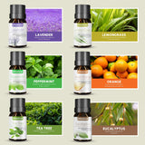 Essential Oils for Diffusers, 100% Natural Plant Extracts Six Scents Pink Iolaus