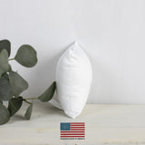 22x22 | Indoor Outdoor Hypoallergenic Polyester Pillow Insert |