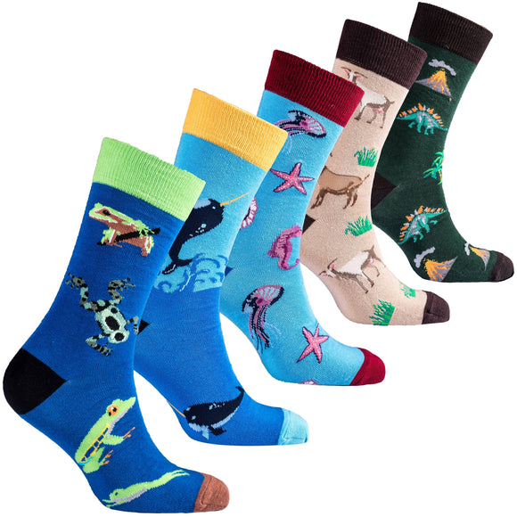 Men's Animalia Socks Orchid Erebus