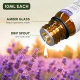 Essential Oils for Diffusers, 100% Natural Plant Extracts Six Scents Pink Iolaus