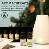 Essential Oils for Diffusers, 100% Natural Plant Extracts Six Scents Pink Iolaus