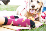 Kids Cute Dogs Socks Orchid Erebus