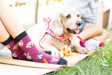 Kids Shadow Dog  Socks