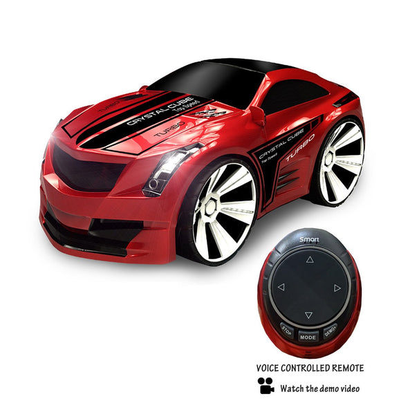 Turbo Racer Voice Activated Remote Control Sports Car Salmon Lucky