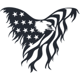 American Eagle - Metal Wall Art