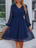 Navy Blue Polka Dot Button V Neck Transparent Dress Silver Sam