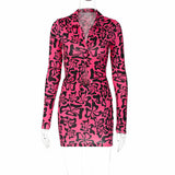 Leopard Print Long-sleeved Polo Collar Skirt Two-piece Set Silver Sam