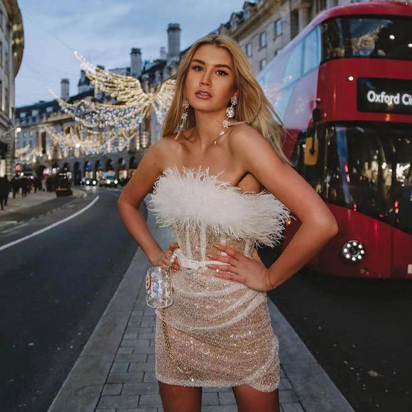 High-Waisted Sparkly Dress with One-Shoulder Feather Silver Sam
