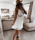 Sleeveless Lace V-neck Short Dress Silver Sam