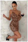Golden Sequined Sexy Women Dress Silver Sam