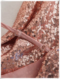 Golden Sequined Sexy Women Dress Silver Sam