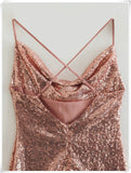 Golden Sequined Sexy Women Dress Silver Sam