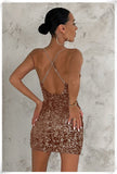 Golden Sequined Sexy Women Dress Silver Sam