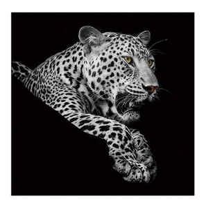 Leopard in Black and White Acrylic Print Unframed Wall Art
