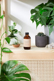 Natural Aged After Shave