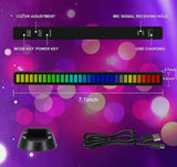 Dragon Sound Reactive Music Light Bar 2 Piece