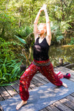 Burgundy PEACOCK Women's Harem Pants