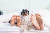 Khaki Sheets