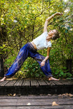 Blue PEACOCK Eye Women's Harem Pants