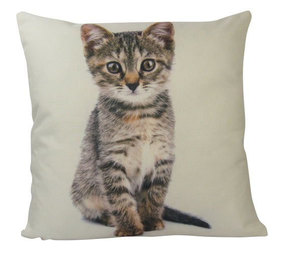 Cat | Calico Cat | Cat Pillow | Cute Cat | Cat Gifts | Cat Decor | Cat Maroon Abderus